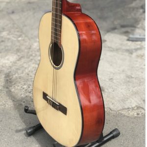 Đàn guitar classic cho người mới tâp'